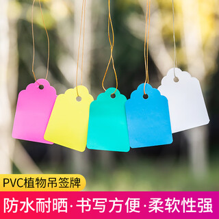 Benxinnong (benxinnong) 100 sheets of rope plastic labels plant tags gardening potted small hanging tags succulent labels marking signs hxm 6x4cm red 100 sheets in a bundle