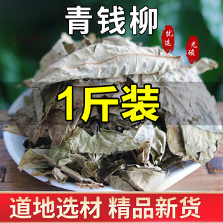 Yifanmai zhangjiajie qingqian liuyuan leaf tea, century-old tree qingqian liuyuan leaf tea, qingqian liuyuan leaf health tea, qingqian liuyuan leaf tea 100g