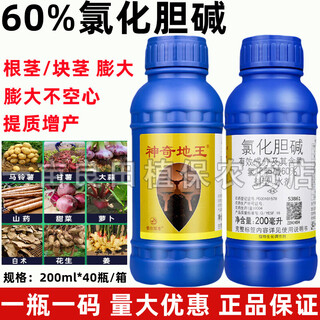 Guoguang magic king choline chloride garlic ginger atractylodes potato peanut radish yam special swelling regulator 200ml*1 bottle