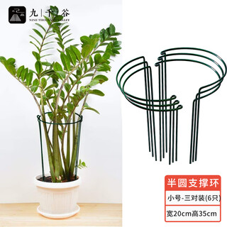 Jiuqiangu plant support frame gardening flower stand balcony garden hydrangea rose climbing semicircle 20*35cm 3 pairs 6393