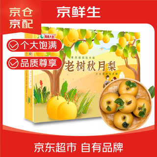 Beijing fresh green earth laiyang old tree qiuyue pear 6jin jin is equal to 0.5kg 6 pieces high-quality large fruit fruit gift box
