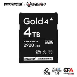 Chipfancier new product cfb4.0 cfexpress type b gold edition 4.0 memory card movie and tv hurricane co-branded 4tb memory card