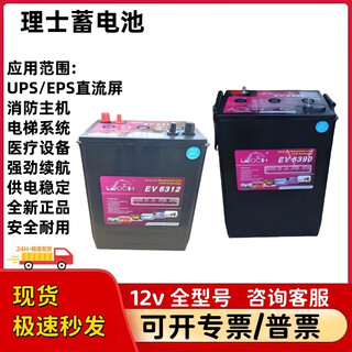 理士曲臂车蓄电池EV6390升降平台高空作业车电池EV6312 6v390ah420ah EV6312     6v350ah