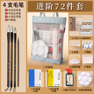 Surada chinese painting pigments chinese painting pigments chinese painting pigment set beginner students children's ink painting landscape painting 18 colors 12ml handbag set sd256