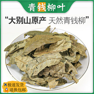 Traditional chinese medicinal materials used in the inner court: 500g of qingqianliu leaves, 500g of qingqianliu ancient tree, qingqianliu tea, burdock, corn silk, and mulberry leaf tea. directly sold by pharmacies. 250g of qingqianliu leaves.