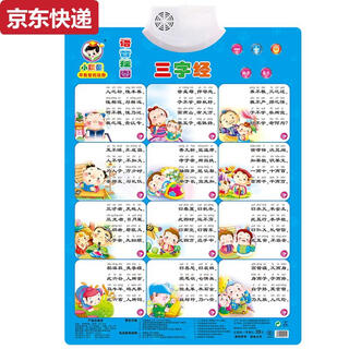 两雪有声挂图拼音儿童启蒙早教认知发声墙贴宝宝语音识字卡0-6岁玩具 孔雀蓝