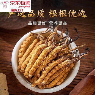 【黑色星期五】冬虫夏草高海拔虫草头期优质干草 活动限时抢购-每 精选虫草(30根)送3根
