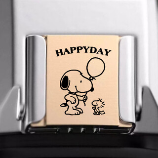 Nikon metal protective cover phone case dust plug happyday snoopy-brass/sony please note