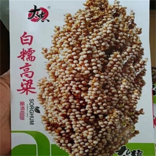 White glutinous sorghum, red sorghum seeds, wine making, waxy sorghum seeds, spring tall stems, short stems, high yield, drought-resistant edible sorghum. white glutinous sorghum 1 pack is about 50 grams