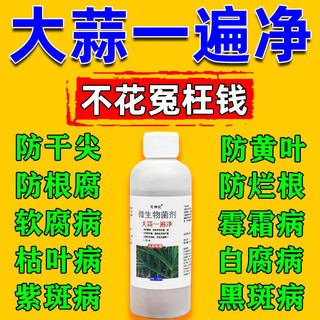 One spray of garlic removes microbial inoculants, one spray removes germs, and treats garlic seedlings disease prevention medicine nutrient solution seed dressing agent 3 bottles to remove all garlic diseases