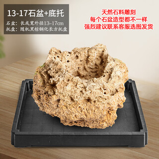 Stone flowerpot absorbent stone water stone original stone natural flowerpot with asparagus bamboo calamus succulent plant micro landscape pot 13-17cm stone pot + tempered rectangular holder