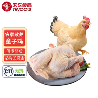 Tiannong qingyuan lingnan broiler chicken 1.2 jin jin is equal to 0.5 kg free range chicken free range chicken small tender chicken whole chicken frozen roasted chicken steamed