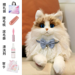 Simulation cat doll ragdoll cat doll kitten plush doll toy as a birthday gift for friends and girls ragdoll cat doll-blue pearl scarf