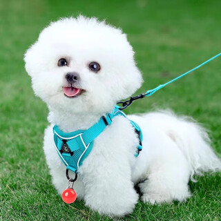 Amor dog leash vest type small dog bichon harness teddy shiba inu puppy dog chain telescopic dog walking rope blue + 1.5 meter flat rope adjustable comfortable s-dog-recommended 3-5 jin jin is equal to about 0.5 kg