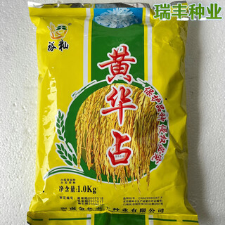 Huang huazhan conventional rice seeds long-grain rice seeds original golden nongfeng seed industry reserved seeds early, middle and late huang huazhan 2jin jin is equal to 0.5 kg