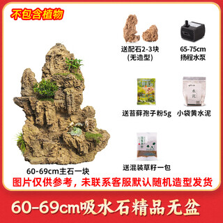 High-quality water-absorbing stone bonsai fish pond rockery micro-landscape decoration natural rockery stone landscaping raw stone high-quality 60-69cm water-absorbing stone without basin