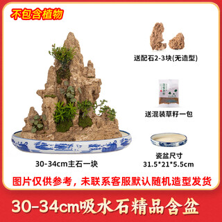 High-quality water-absorbing stone bonsai fish pond rockery micro-landscape decoration natural rockery stone landscaping raw stone high-quality 30-34cm water-absorbing stone with basin