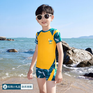 Miyi children's swimsuit boys 2025 new medium and large children split swimming training suit quick-drying sun protection swimsuit suit yellow and green stitching class a quality 120 (130) 2xl