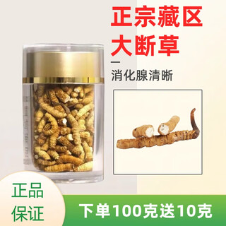 Cordyceps cordyceps cordyceps cordyceps cordyceps cordyceps cordyceps cordyceps cordyceps cordyceps cordyceps cordyceps cordyceps cordyceps cordyceps cordyceps cordyceps cordyceps cordyceps cordyceps cordyceps cordyceps cordyceps cordyceps cordyceps cordyceps cordyceps cordyceps cordyceps cordyceps cordyceps cordyceps cordyceps cordyceps cordyceps cordyceps cordyceps cordyceps cordyceps cordyceps cordyceps cordyceps cordyceps cordyceps cordyceps cordyceps cordyceps cordyceps cordyceps cordyceps cordyceps cordyceps cordyceps cordyceps cordyceps cordyceps cordyceps cordyceps cordyceps cordyceps cordyceps cordyceps cordyceps cordyceps cordyceps cordyceps cordyceps cordyceps cordyceps cordyceps cordyceps cordyceps cordyceps cordyceps