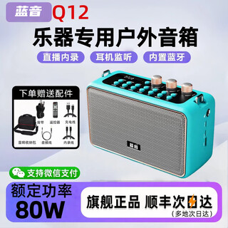 Lanyin q12 electric blowpipe saxophone special speaker guitar playing and singing live broadcast internal recording instrument outdoor portable bluetooth speaker q12-peacock blue full set of accessories + storage bag