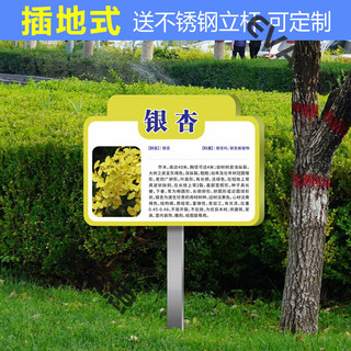 Ground type tree brand school park stainless steel plant greening information sign tree introduction sign care imitation cdsp-18 (surface covered with crystal + pole) 50x70cm