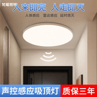 Fanyao infrared human body sensor lamp ultra-thin three-proof ceiling-mounted lamp stair aisle corridor corridor light smart lamp 18w-human body sensor