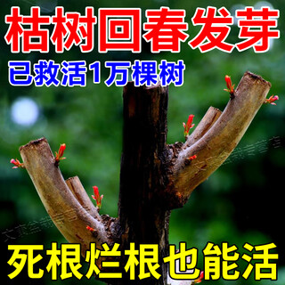 Dead and dead tree plant resurrection liquid, strong rooting, seedling germination agent, rooting liquid, rapid rooting, universal nutrient solution, one bottle of root irrigation, universal for plants, flowers and trees
