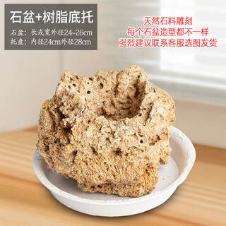 Stone flowerpot with water-absorbing stone, raw stone, natural flowerpot with asparagus, bamboo, calamus, succulents, micro-landscape pot, 24-26cm stone pot + round bottom bracket