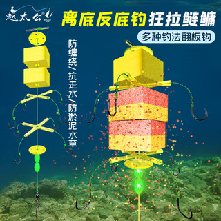 Zhao taigong reverse-off-bottom fishing for silver carp and bighead carp, reverse-bottom fishing line set, sea rod, float, flap hook fishing set, accessories, square buoyancy plate set, anti-off-bottom silver carp and bighead carp fishing set, 4 pairs + 8 buoyancy plates, no. 15