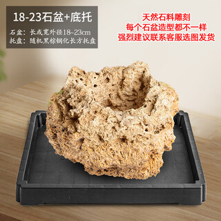 Stone flowerpot absorbs water, water-stained stone, original stone, natural flowerpot with asparagus, bamboo, calamus, succulents, micro-landscape pot, 18-23cm stone basin + tempered rectangular holder