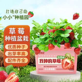 Beiyipin children planting small potted cream strawberry fruit seeds kindergarten plant observation box primary school student gift