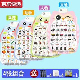 两雪有声挂图拼音儿童启蒙早教认知发声墙贴宝宝语音识字卡0-6岁玩具 水果蔬菜+动物+人物+交通