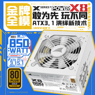 长城（Great Wall）额定850W X8白色金牌全模电脑电源（ATX3.1/PCIe5.1/漏电监测/单路12V/自动启停/支持5080显卡）