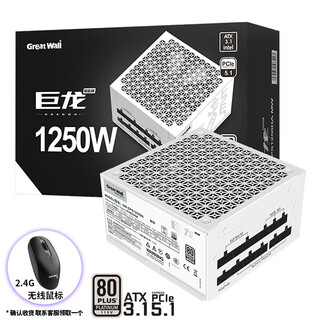 长城（GreatWall） 巨龙电源金牌全模台式机电脑电源 铂金巨龙1250W白色 ATX3.1