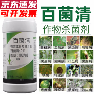 40% chlorothalonil fungicide for fruit trees, vegetables and flowers to prevent rust, anthracnose, leaf spot, downy mildew, leaf spot 1000g