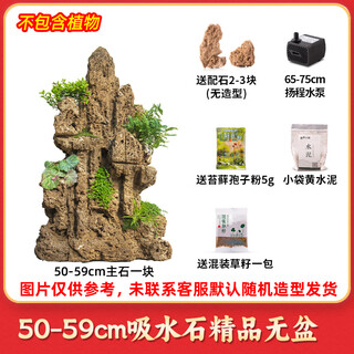 High-quality water-absorbing stone bonsai fish pond rockery micro-landscape decoration natural rockery stone landscaping raw stone high-quality 50-59cm water-absorbing stone without basin