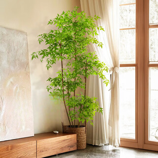 Lzjv simulated green plant nandina bamboo floor-standing potted indoor large-scale bionic plant ornaments living room light luxury decorative flower fake tree nandina bamboo 100cm single head comes with its own pot (all come with coconut shreds