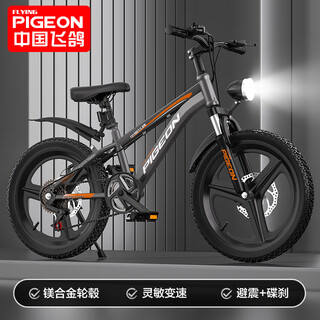 Flying pigeon youth bicycle 6-12-18 years old male and female student competition grade mountain bike gray 24-inch transmission body
