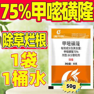 Barómetro 75% herbicida de metilsulfurón, agente desherbador de metilsulfurón y agente de raíces podridas, luz especial genuina y densa para ferrocarriles y carreteras, 50g * 2 bolsas, una bolsa y un balde de agua