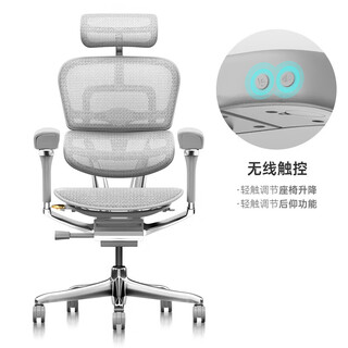 Baoyou office furniture (ergonor) baoyou jinhao l2 gaming engineering chair sedentary comfortable office home use silver white american net naked chair aluminum alloy feet rotating lift armrest