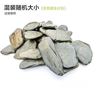 Pure natural stream stone fish tank landscaping stone flakes turtle basking back schist climbing pet rockery terrace landscaping stone 3jin jin is equal to 0.5kg 5-10cm schist size matching