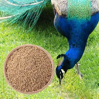 Oimg peacock feed pellet feed farm food small seedling peacocks eat chickens, ducks and geese special feed peacock breeding period full price feed 5jin jin is equal to 0.5 kg