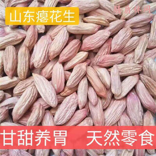 Specialty products youlian limited time promotion selected shandong flat peanut rice fresh weiwei dried peanut farm specialty bulk 50g weiwei flat peanut rice <expensive>
