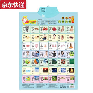 两雪有声挂图拼音儿童启蒙早教认知发声墙贴宝宝语音识字卡0-6岁玩具 墨绿色