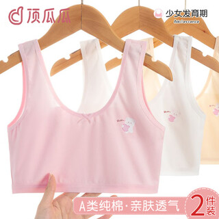 顶瓜瓜女童内衣儿童内衣发育期夏季小学生背心9岁12-10少女文胸棉一阶段