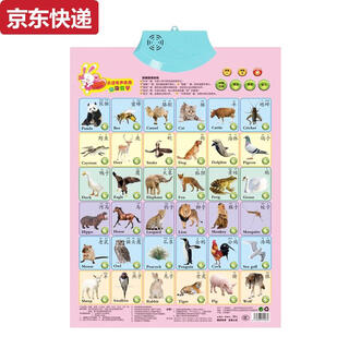 两雪有声挂图拼音儿童启蒙早教认知发声墙贴宝宝语音识字卡0-6岁玩具 翠绿色