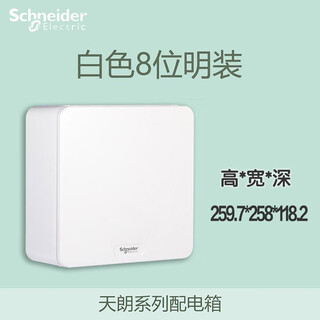 Schneider tannoy series exposed assembly power box strong power box abs cover floor box metal material guarantee tlm08b