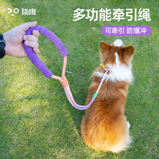 Qioh dog rope p rope explosion-proof dog leash anti-breakaway large dog small dog walking rope
