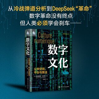 Digital culture public space, platforms and algorithms (humanity booktopia)