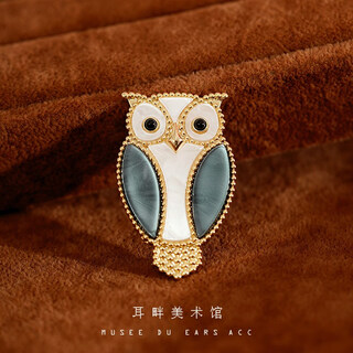 Feiyu a cute owl brooch women's niche high-end exquisite fashion luxury temperament high-end light luxury with suit owl brooch